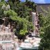 Michelle Barfield - Facebook