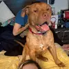 Zeus - @michellebarillas3 - TikTok