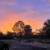 Michelle Bark - @michelle.bark - TikTok
