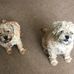 Michelle Bark - Facebook