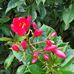 Michelle Barrick - Facebook