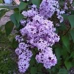Michelle Barrick - @michellebarrick1967gmail.com2 - Instagram
