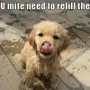 Michelle Barrow - @michelle.barrow - TikTok
