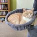 Michelle Barrow Green - Facebook