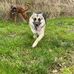 Michelle Bastien - Facebook