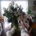 Michelle Ba'th - Facebook