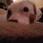 Zoey Michelle Bathke-Kehoe - @zoey_michelle_bear - Instagram