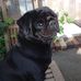 Michelle Baugh - Facebook