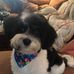 Michelle Baughman - Facebook