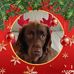 Michelle Beacham - Facebook