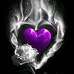 Michelle Beaman - @michelle50377gmail.com_ - Instagram