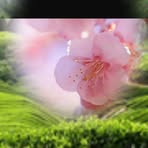 Michelle Beau - Facebook