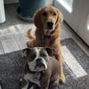 Michelle Bradford Beckett - @michelle.beckett - TikTok