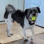 Michelle Beckman - @mcbshell - Instagram