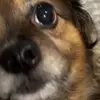 Michelle beckman - @michellebeckman1 - TikTok
