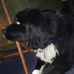 Michelle Beckwith - Facebook