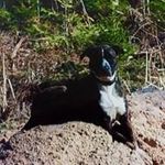 Michelle Beebe-Maxey - @beebemaxey - Instagram
