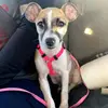 michellebeebe74 - @michellebeebe74 - TikTok