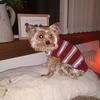 Michelle Begg - @micki_2027 - TikTok