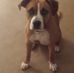 Michelle Beil - Facebook
