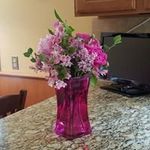 Michelle Bellinger - @michelle.bellinger.17 - Instagram