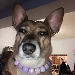 Michelle Bear Robe-Benally - @lakota_bear - Instagram