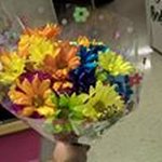 Tracey Michelle Benefield - @benefieldtracey - Instagram