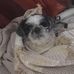 Michelle Gunnard Bergquist - Facebook