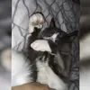 Michelle Berk - @michelleberk4 - TikTok