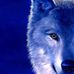 Michelle Berkey - Facebook