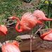 Michelle Berkey Dickson - Facebook