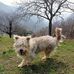 Michele Berta - Facebook