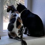 Michelle Beske - @micheske - Instagram
