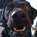 Michelle Beswick - @choppyboo - Instagram
