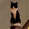 michael.beutel - @michael.beutel - TikTok