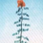 Michelle Beutel - @kortneybleckmann214 - Instagram