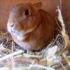 michelle_bevis - @michelle_bevis - TikTok