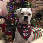Michelle Bevis Flynn - @michelle.b.flynn.7 - Instagram