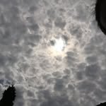 Michelle Bianco - @pouringout - Instagram