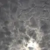 Michelle Bianco - @michellebianco2 - TikTok