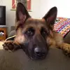 Michelle Bitner - @michellebitner - TikTok