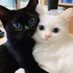 Michelle Anderson Bixler - @mbixler45 - Instagram