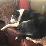 Michelle Blanton - @micki1966 - Instagram