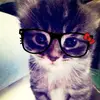 Michelle Blasingame - @___kate___is___back____ - TikTok