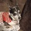Michelle Blevins - @michelle.blevins7 - TikTok
