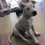 Michelle Bloomfield - @michbloomfield49 - Instagram