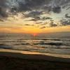 michelle.cardboard - @michelle.cardboard - TikTok