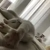 michelleboicenco - @michelleboicenco - TikTok