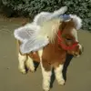 Michelle - @michelleboisvertt - TikTok