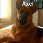 Alanda Bolt - @michellebolt44 - Instagram